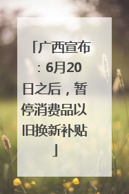 广西宣布：6月20日之后，暂停消费品以旧换新补贴