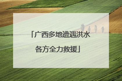 广西多地遭遇洪水 各方全力救援