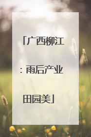 广西柳江：雨后产业田园美