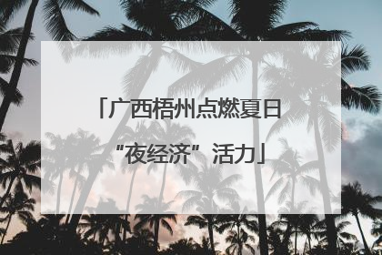 广西梧州点燃夏日“夜经济”活力