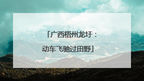 广西梧州龙圩：动车飞驰过田野
