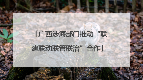 广西涉海部门推动“联建联动联管联治”合作