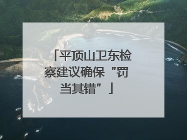 平顶山卫东检察建议确保“罚当其错”