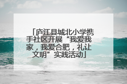 庐江县城北小学携手社区开展“我爱我家，我爱合肥，礼让文明”实践活动