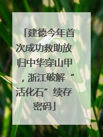 建德今年首次成功救助放归中华穿山甲，浙江破解“活化石”续存密码