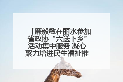 廉毅敏在丽水参加省政协“六送下乡”活动集中服务 凝心聚力增进民生福祉推进共同富裕
