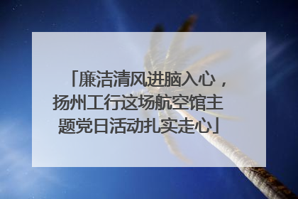 廉洁清风进脑入心，扬州工行这场航空馆主题党日活动扎实走心