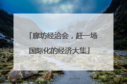 廊坊经洽会，赶一场国际化的经济大集
