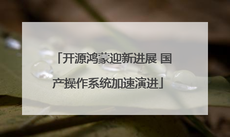 开源鸿蒙迎新进展 国产操作系统加速演进