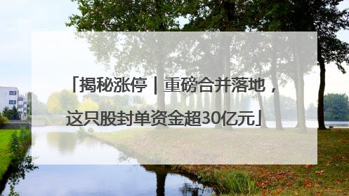 揭秘涨停｜重磅合并落地，这只股封单资金超30亿元