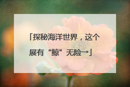 探秘海洋世界，这个展有“鲸”无险→