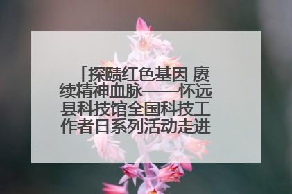 探赜红色基因 赓续精神血脉——怀远县科技馆全国科技工作者日系列活动走进怀远县实验中学