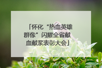 怀化“热血英雄群像”闪耀全省献血献浆表彰大会