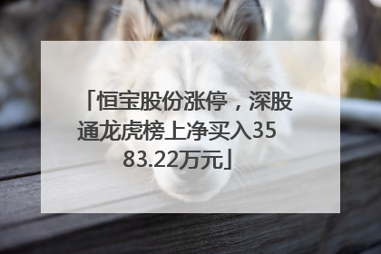 恒宝股份涨停，深股通龙虎榜上净买入3583.22万元