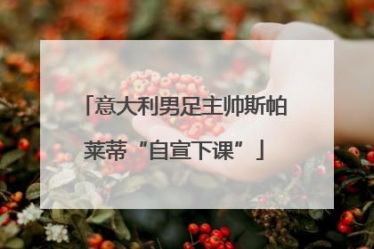 意大利男足主帅斯帕莱蒂“自宣下课”