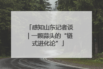 感知山东记者谈｜一颗蒜头的“链式进化论”