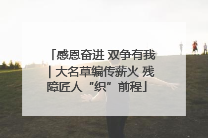 感恩奋进 双争有我｜大名草编传薪火 残障匠人“织”前程