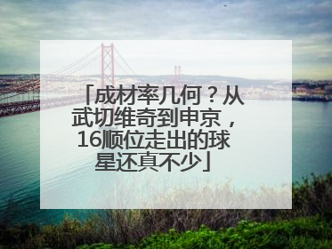 成材率几何？从武切维奇到申京，16顺位走出的球星还真不少