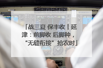 战三夏 保丰收丨延津：前脚收 后脚种，“无缝衔接”抢农时