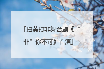 扫黄打非舞台剧《“非”你不可》首演