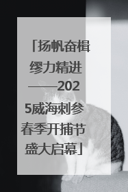 扬帆奋楫 缪力精进——2025威海刺参春季开捕节盛大启幕