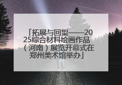 拓展与回望——2025综合材料绘画作品（河南）展览开幕式在郑州美术馆举办