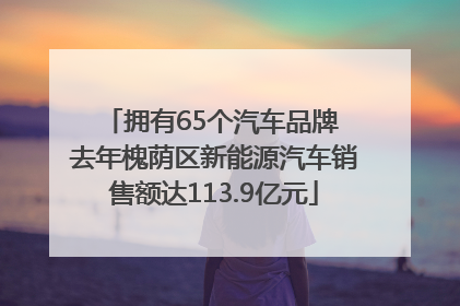 拥有65个汽车品牌 去年槐荫区新能源汽车销售额达113.9亿元