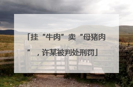 挂“牛肉”卖“母猪肉”，许某被判处刑罚