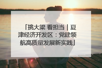 挑大梁 看担当｜夏津经济开发区：党建领航高质量发展新实践