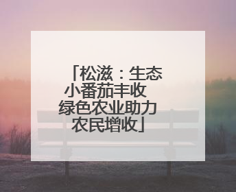 松滋：生态小番茄丰收 绿色农业助力农民增收