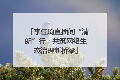 李佳琦直播间“清朗”行：共筑网络生态治理新桥梁