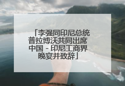 李强同印尼总统普拉博沃共同出席中国－印尼工商界晚宴并致辞
