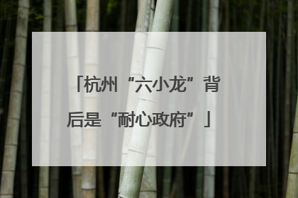 杭州“六小龙”背后是“耐心政府”