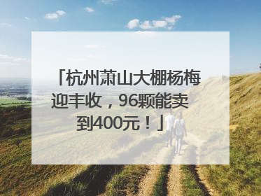杭州萧山大棚杨梅迎丰收，96颗能卖到400元！