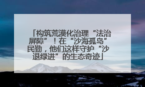 构筑荒漠化治理“法治屏障”！在“沙海孤岛”民勤，他们这样守护“沙退绿进”的生态奇迹