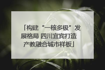 构建“一核多极”发展格局 四川宜宾打造产教融合城市样板