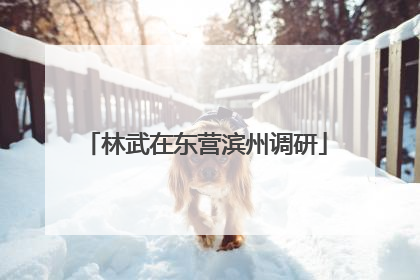 林武在东营滨州调研