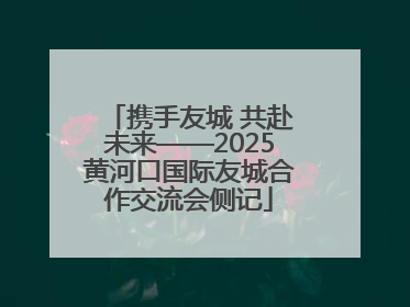 携手友城 共赴未来——2025黄河口国际友城合作交流会侧记
