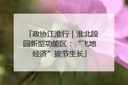政协江淮行｜淮北段园新型功能区：“飞地经济”拔节生长