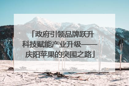 政府引领品牌跃升 科技赋能产业升级——庆阳苹果的突围之路