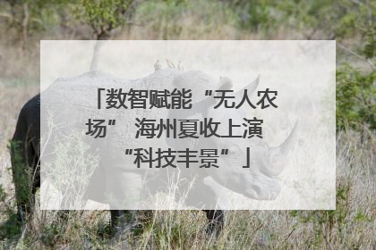数智赋能“无人农场” 海州夏收上演“科技丰景”