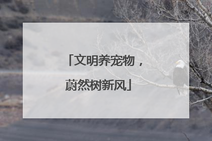 文明养宠物，蔚然树新风
