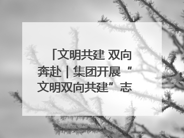 文明共建 双向奔赴｜集团开展“文明双向共建”志愿服务活动