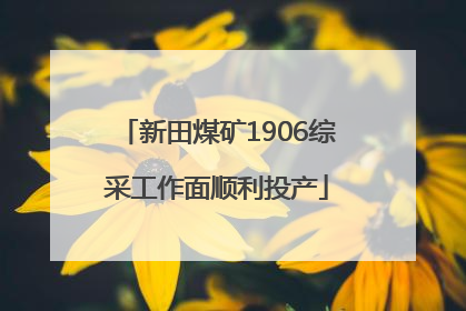 新田煤矿1906综采工作面顺利投产