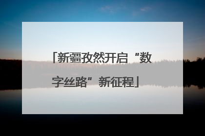 新疆孜然开启“数字丝路”新征程
