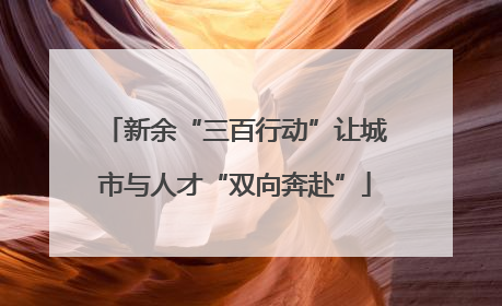 新余“三百行动”让城市与人才“双向奔赴”
