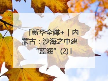 新华全媒+｜内蒙古：沙海之中建“蓝海”(2)