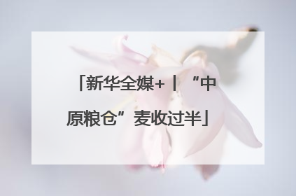 新华全媒+丨“中原粮仓”麦收过半