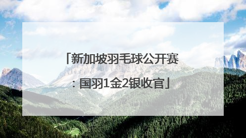 新加坡羽毛球公开赛：国羽1金2银收官