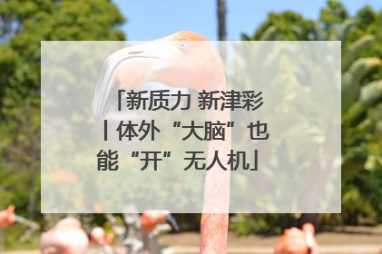 新质力 新津彩丨体外“大脑”也能“开”无人机